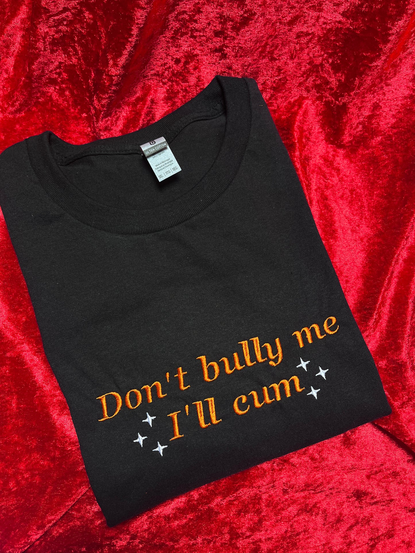 Don't Bully Me I'll Cum Embroidered Tee