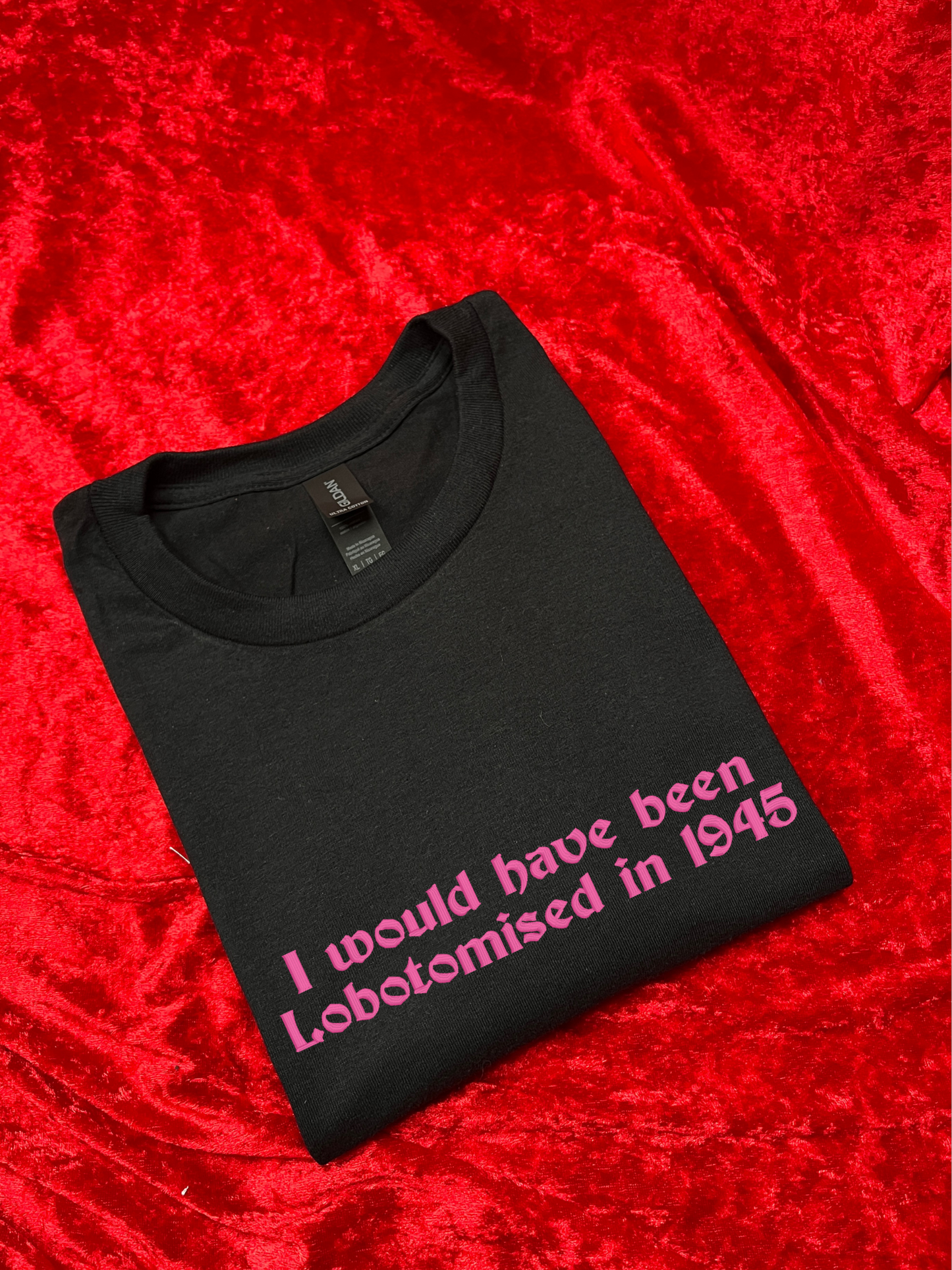 I Would Have Been Lobotomised In 1945 Embroidered T-Shirt