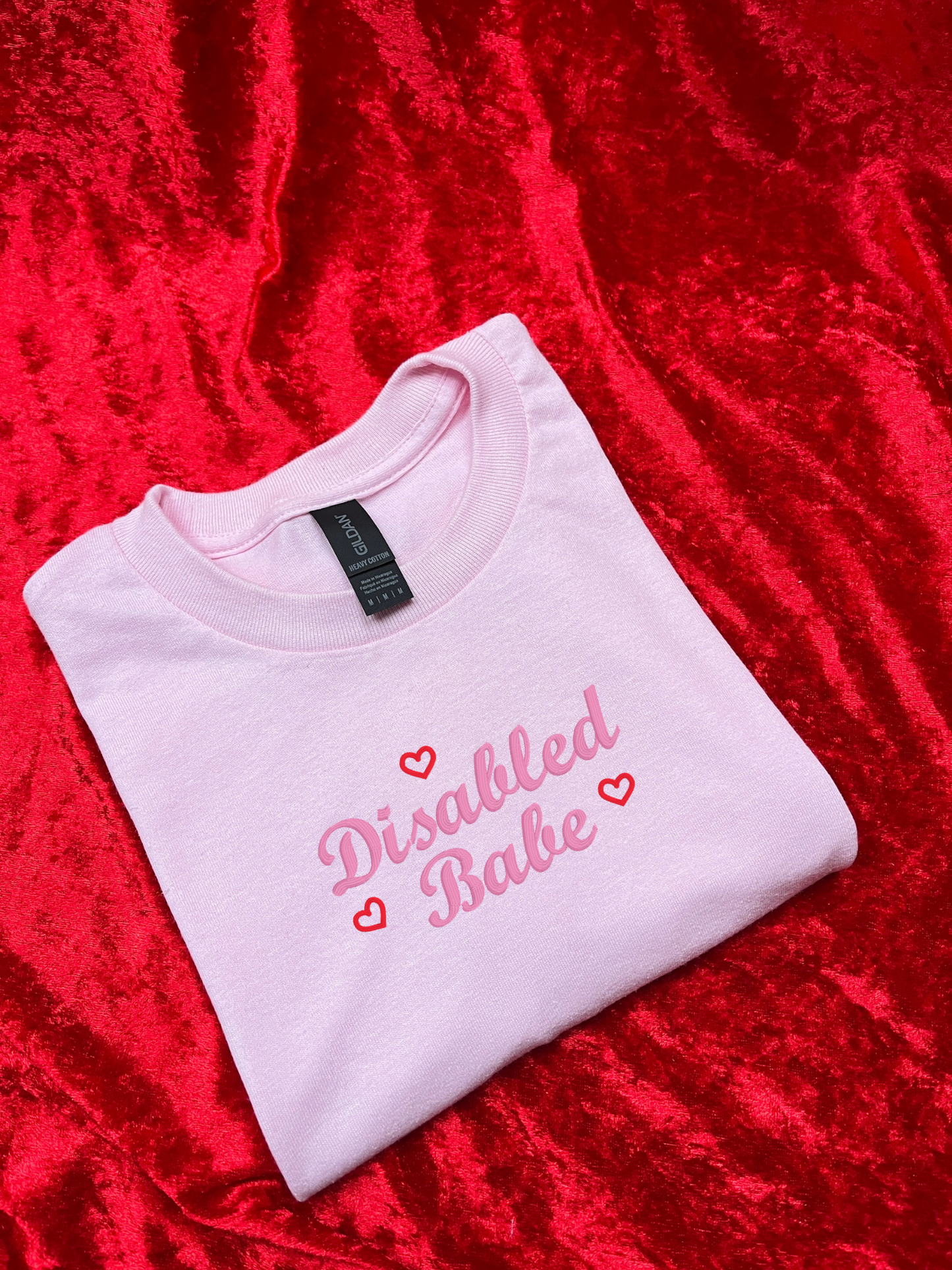 Disabled Babe Embroidered Sweatshirt / T-Shirt
