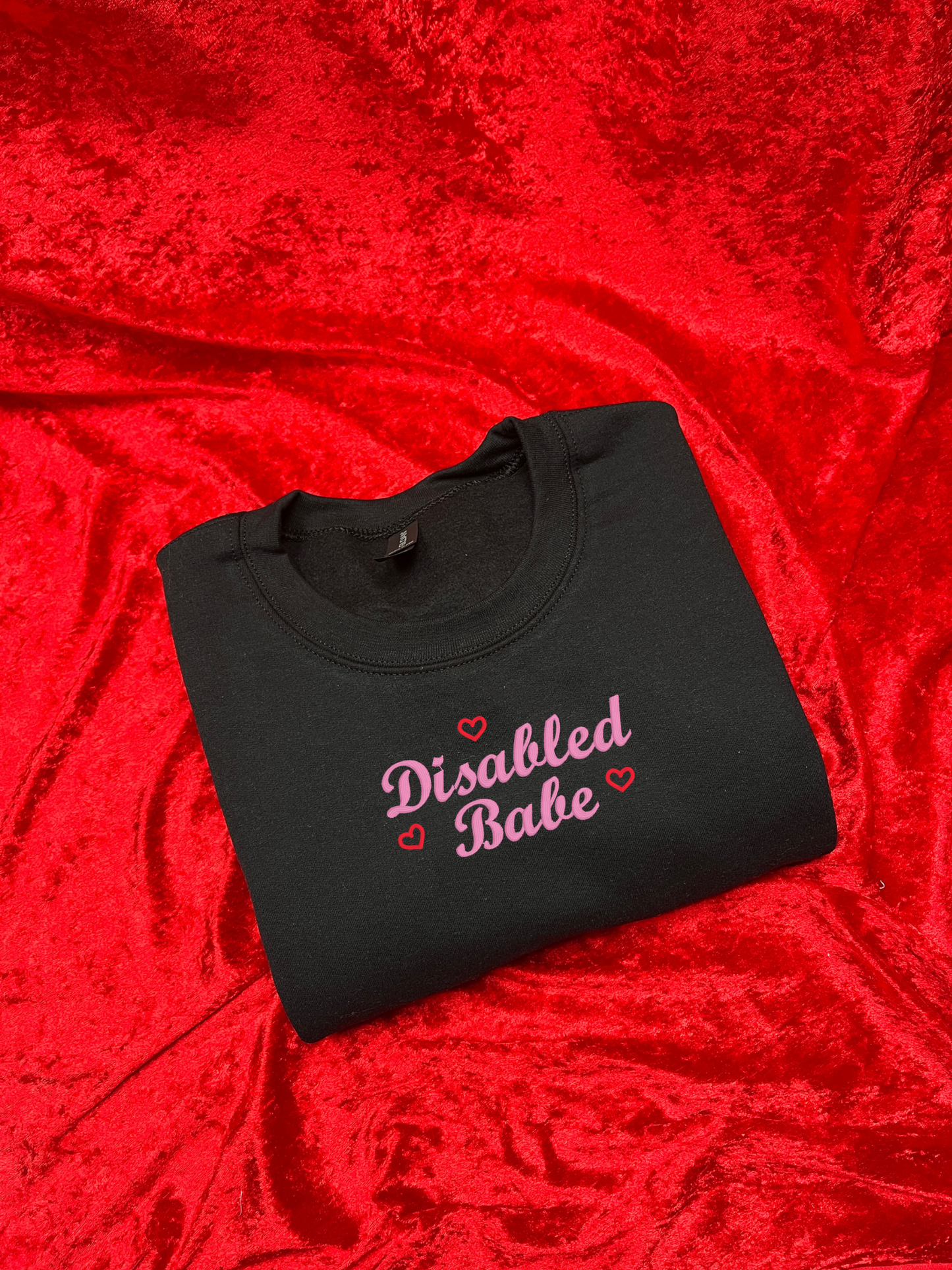 Disabled Babe Embroidered Sweatshirt / T-Shirt