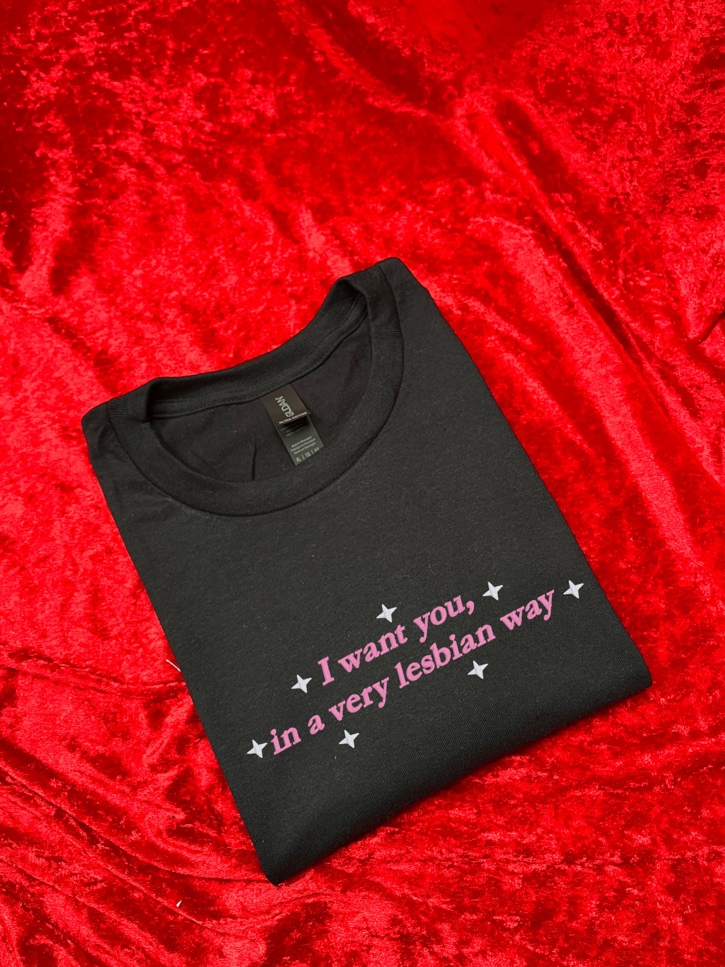 I Want You, In A Very Lesbian Way Embroidered Sweatshirt / T-Shirt