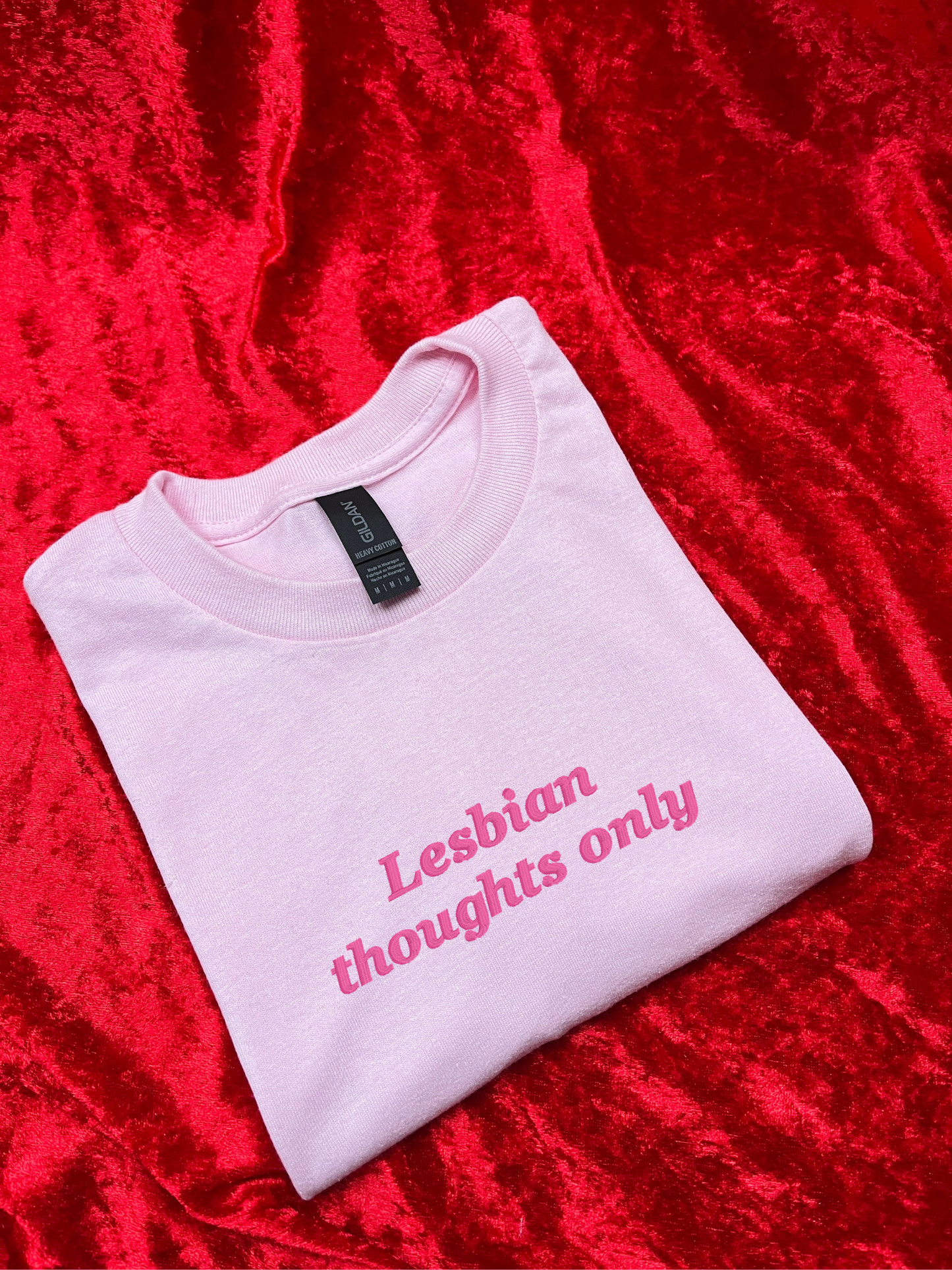 Lesbian Thought Only Embroidered Sweatshirt / T-Shirt