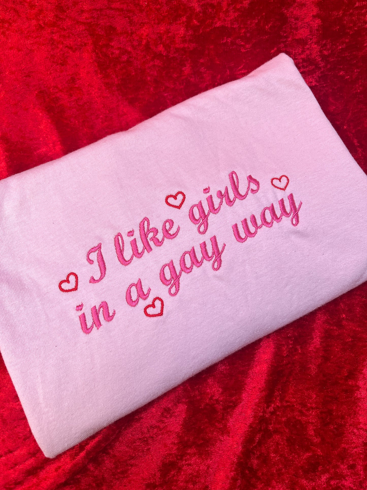 I Like Girls In a Gay Way Embroidered T-Shirt