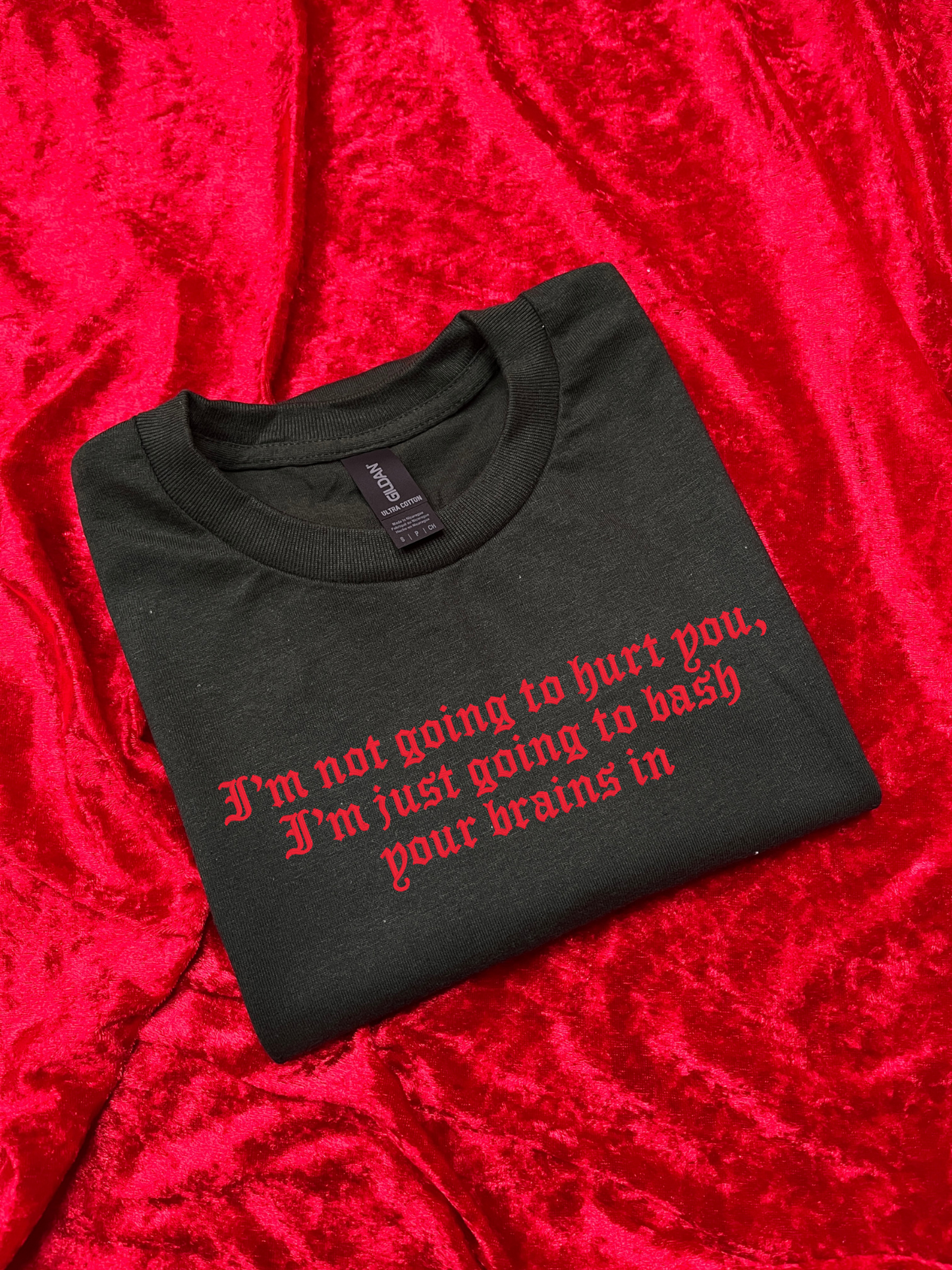I Am Not Going To Hurt You Embroidered Sweatshirt / T-Shirt